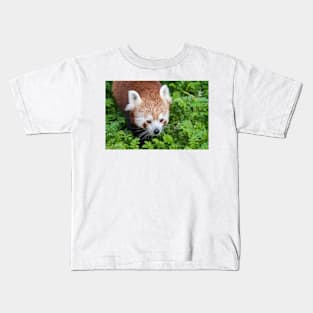 Red Panda close up of face Kids T-Shirt